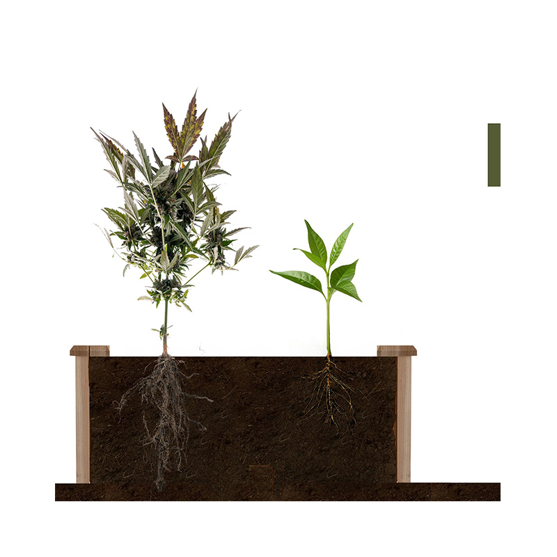 جعبه تخت باغی 3.9 فوت در 3.9 فوت با شبکه رشد بخشدار، مواد چوبی برای گیاهان و گیاهان حیاط خلوت