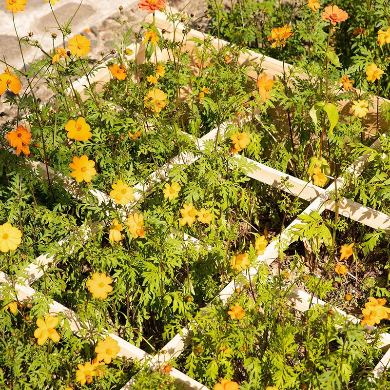 جعبه تخت باغی 3.9 فوت در 3.9 فوت با شبکه رشد بخشدار، مواد چوبی برای گیاهان و گیاهان حیاط خلوت